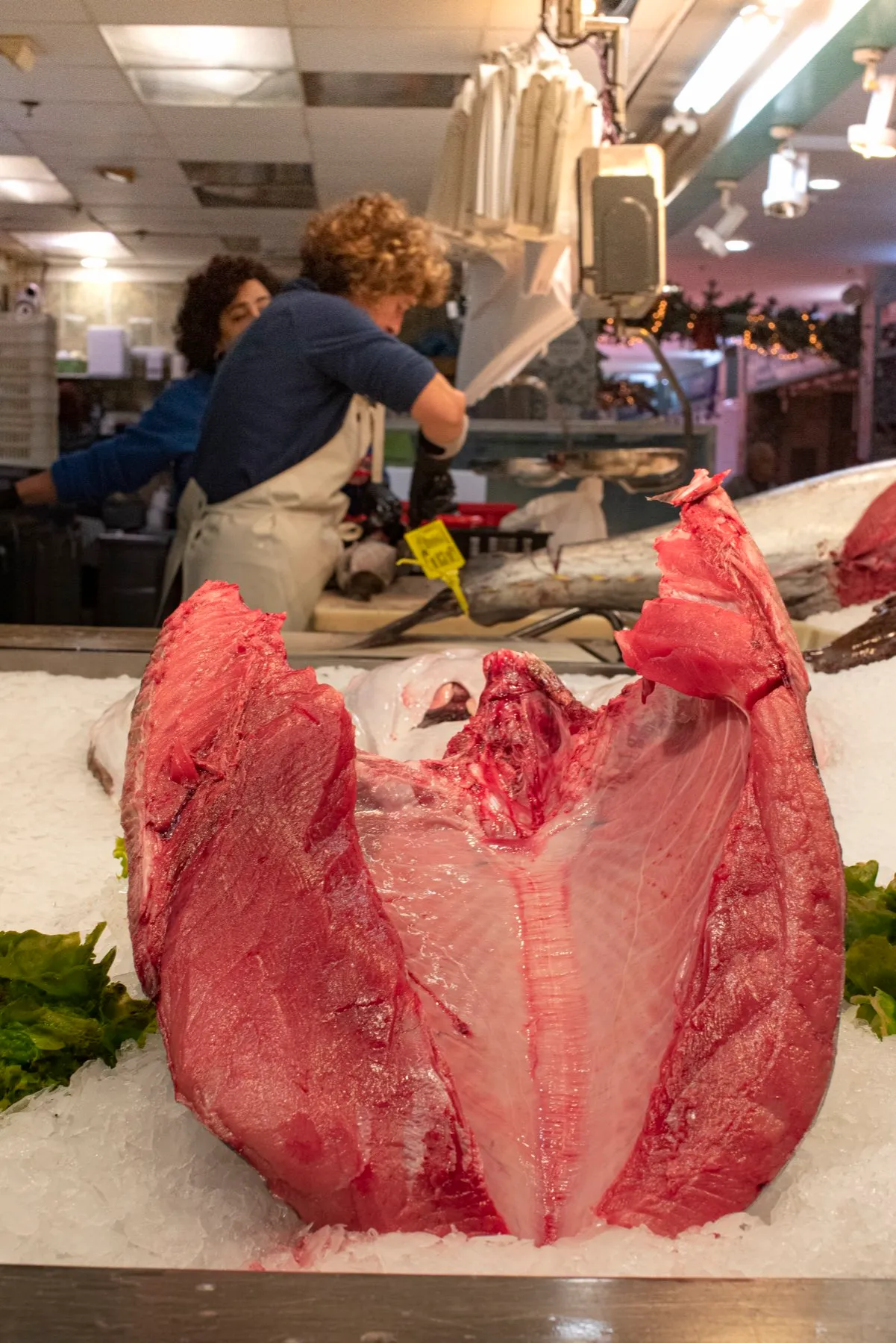 Fresh bonito tuna at the market